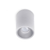 svjetiljka-stropna-nadgradna-1xgu10-ip20-bijela-4674-lg